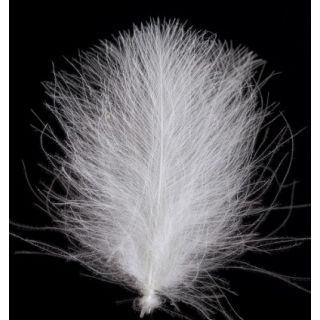 CDC (Goose) Eendekontveren Wit