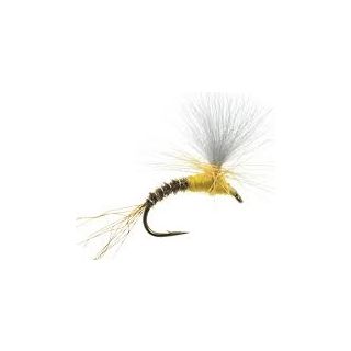 CDC Sulphur Emerger BWO XX