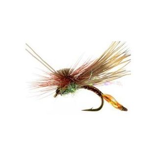 AC CADDIS PHEASANT TAIL