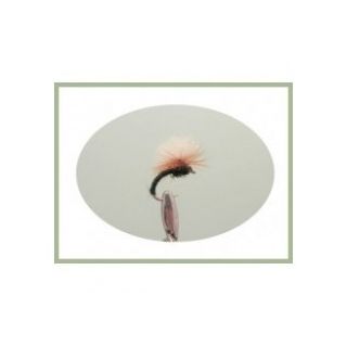 KLINKHAMMER BROWN HACKLED