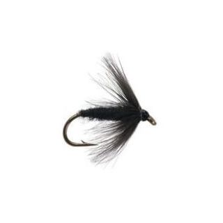 BLACK SPIDER WET FLY