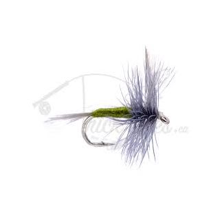 Blue Winged Olive xx