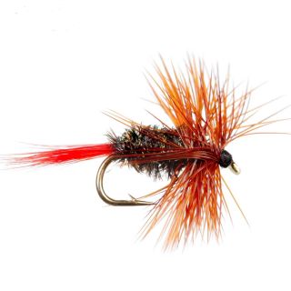 Brown Hackle & Peacock XX