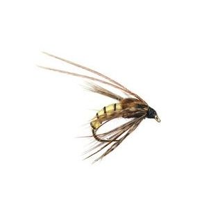 CADDIS PUPA CREAM