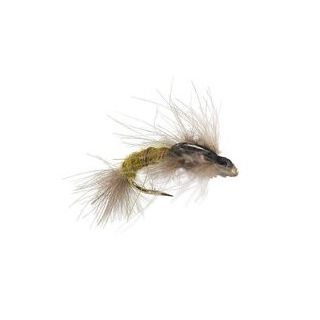 CDC EMERGER OLIVE