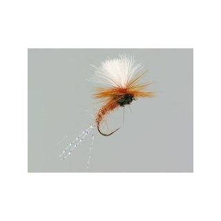 CDC FLASH KLINKHAMMERS BROWN