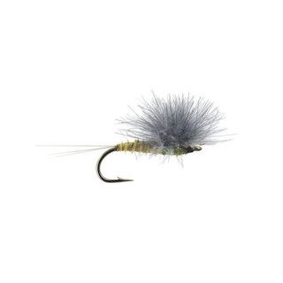 CDC HACKLE STACKER BWO