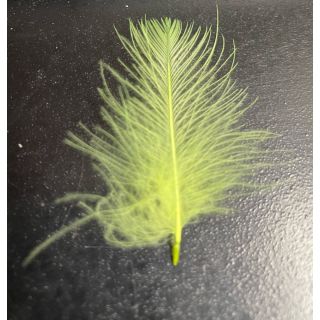 CDC veren 2 gram verpakking