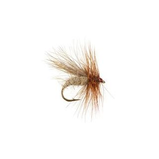 CINNAMON CADDIS