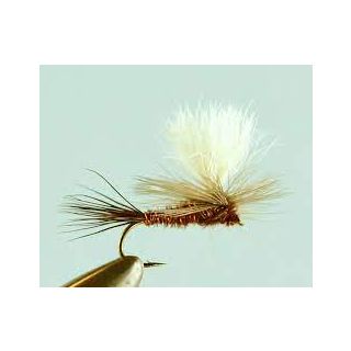 Parachute March Brown xx