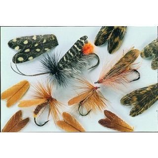 Naturl Feather Caddis Wings