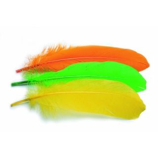 Gans (Goose) Schouderveren