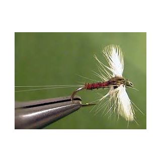 Crystal Wing Spinner xx