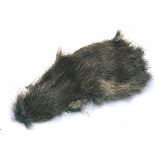 Muskrat Skin