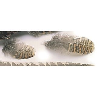 Woodcock Hackle/Plumage
