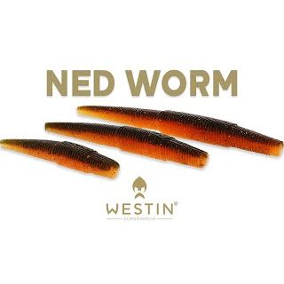Westin Ned Worm
