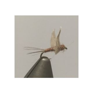 No Hackle Dun xx