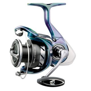 Daiwa 24 Regal LT
