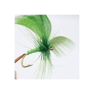 Green Mayfly XX