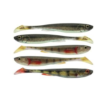 Daiwa Prorex Slim Shady Live Set