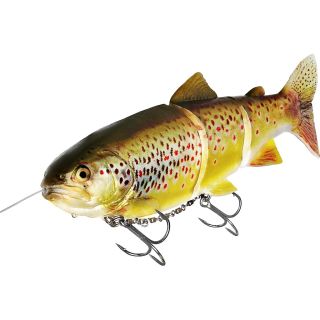 Westin Tommy The Trout Inline