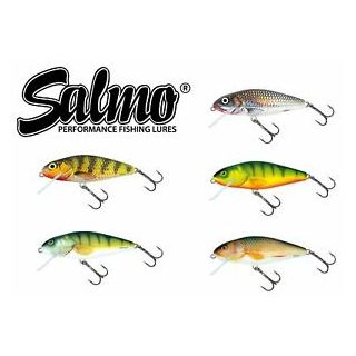 Salmo Perch