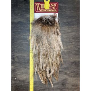 Whiting coq de leon saddle